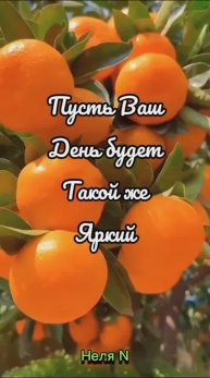 Доброго Дня. ВидеоОткрытки на каждый день