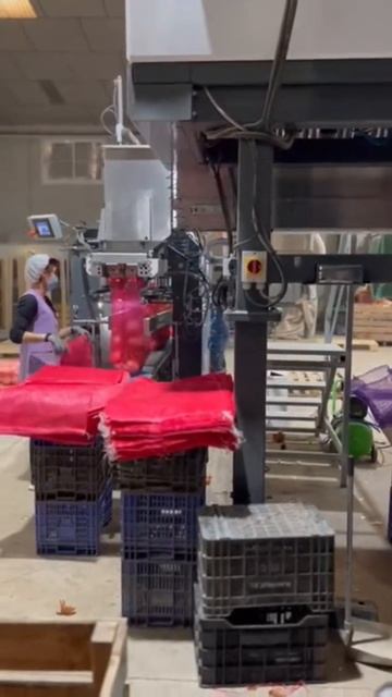 Onion and Garlic Sortinh Reinvented #shorts #onion #garlic #sorting #agriculture