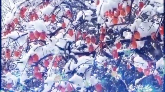ЖАННА АГУЗАРОВА • А СНЕГ ИДЕТ.