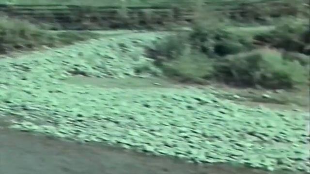 Пісня завжди з нами [9]