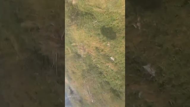 "Канатная дорога" в Алмате ... Это Круто Офигеть!