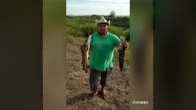 14 июля 2020 г.