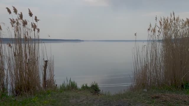 Чижовские дачи 25.04.2025