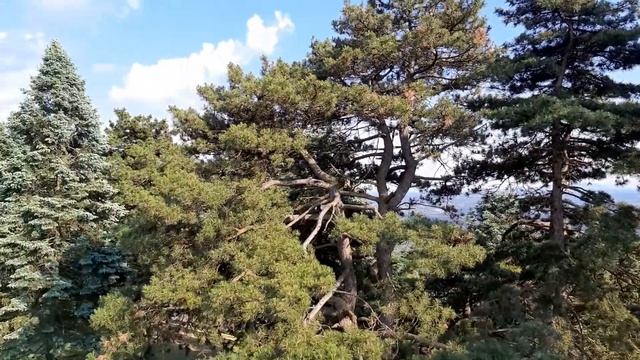Авала вид с памятника
