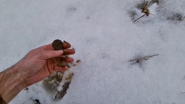 Коп какаликов.