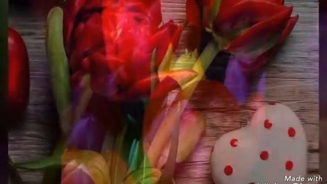 Цветы и музыка для души.