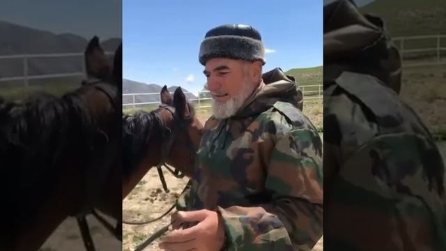 Учимся кататься на лошади