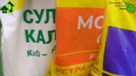 ПОДКОРМКА ТОМАТОВ НА СЛАДОСТЬ, а ОГУРЦОВ НА УРОЖАЙ ВООБЩЕ БЕЗ УДОБРЕНИЙ! Ни полива, ни опрыскивания