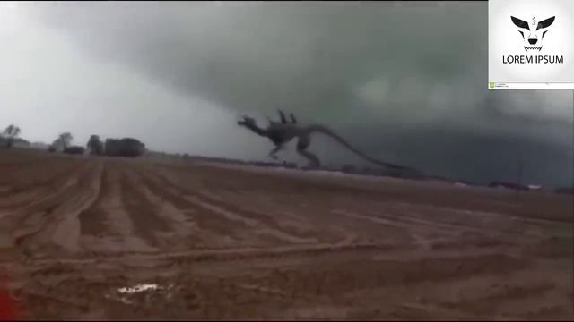 #5 Godzilla  Caméra real life (1)
