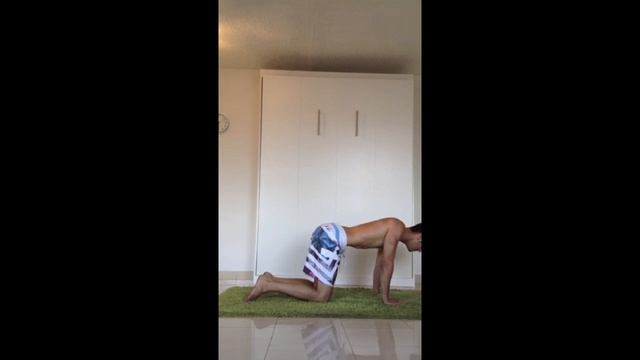 Kneeling Vacuums AKA The Cat Vomit Exercise