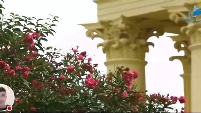 Тв СОЧИ Live HD
