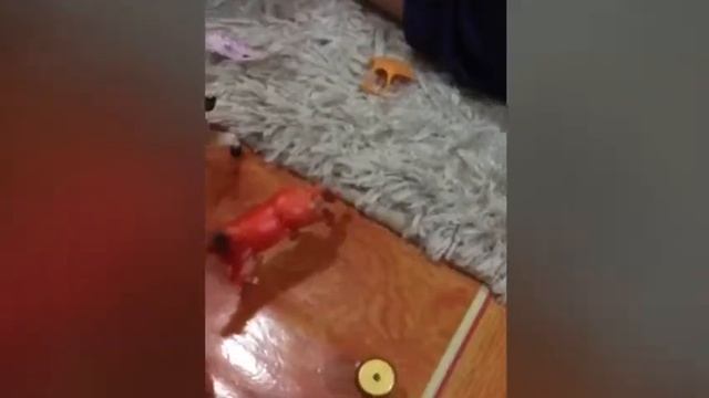 Каникулы в Дубае 2017 Отабек и Камила