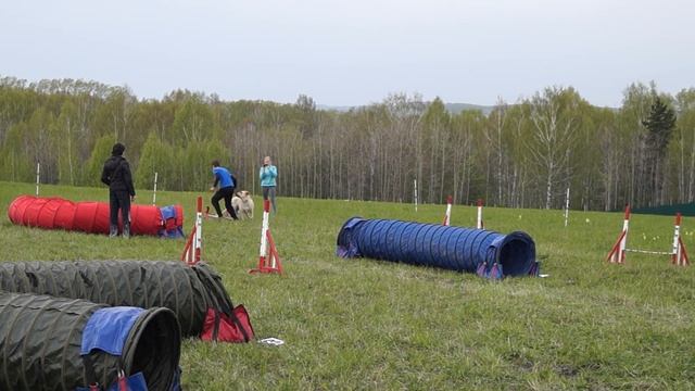 Цер прогресс