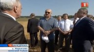 Лукашенко проконтролировал ход уборочной кампании в стране 25 07 2014