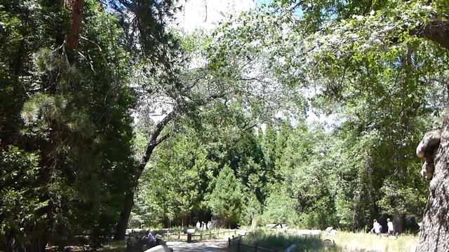 #19_USA Part 1 Yosemite National Park /Национальный парк Йосемити