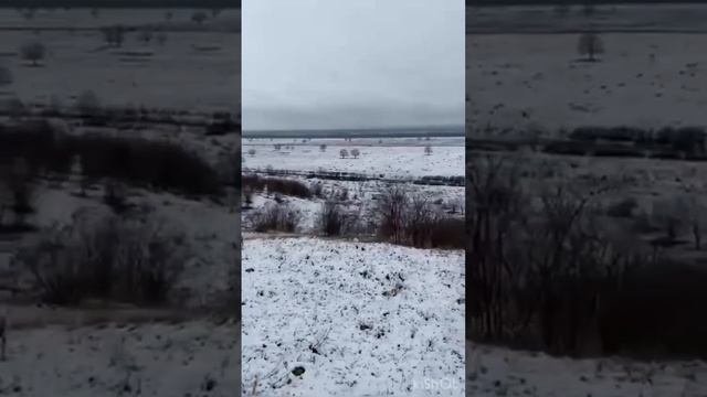 Лошадки в тренинге￼