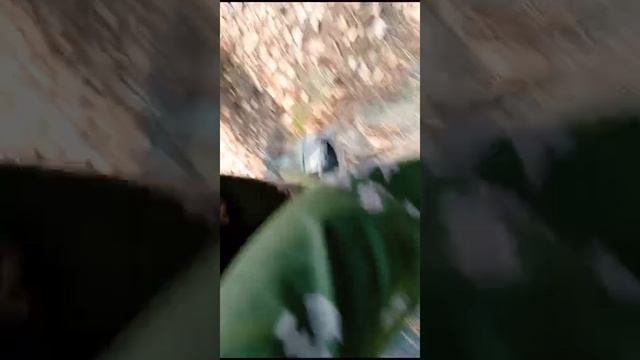 просто видео ♥️ часть 9