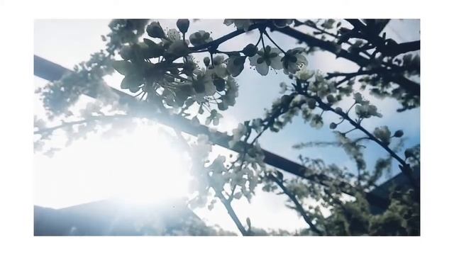 Музыка: Dear Autumn
Музыкант: @iksonofficial