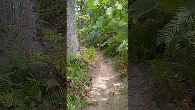 Отдых в Горячем ключе. Отзывы.