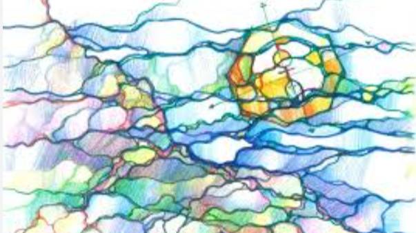 нейрографика курсы с сертификатом