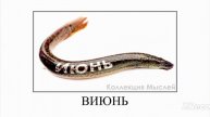 Месяцы + шиза