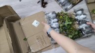 распаковка посылки.почта опять чудит