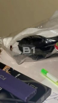 УСАТЫЕ В БОЛЬНИЦЕ: пациенты в БСМП продолжают жаловаться на жирненьких таракашек. Ну куда без них?