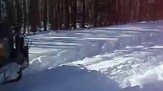 змейка