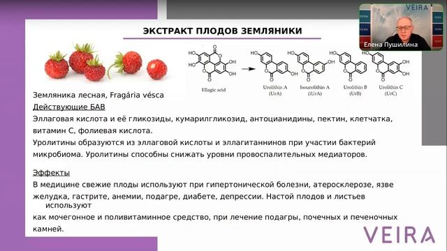 ИВАН-ЧАЙ»