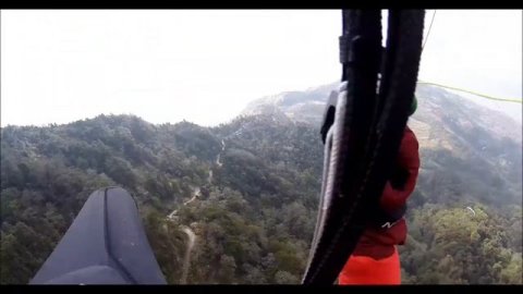 На гринвол с Ник Ником