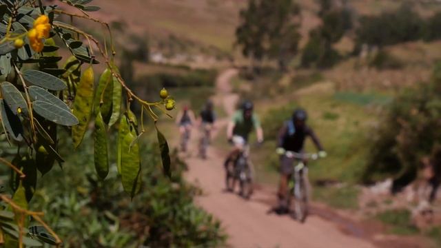 Mountain Biking in Cusco, Peru - Maras Moray