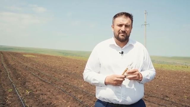 ООО "Зольский Картофель", реализация доли в компании