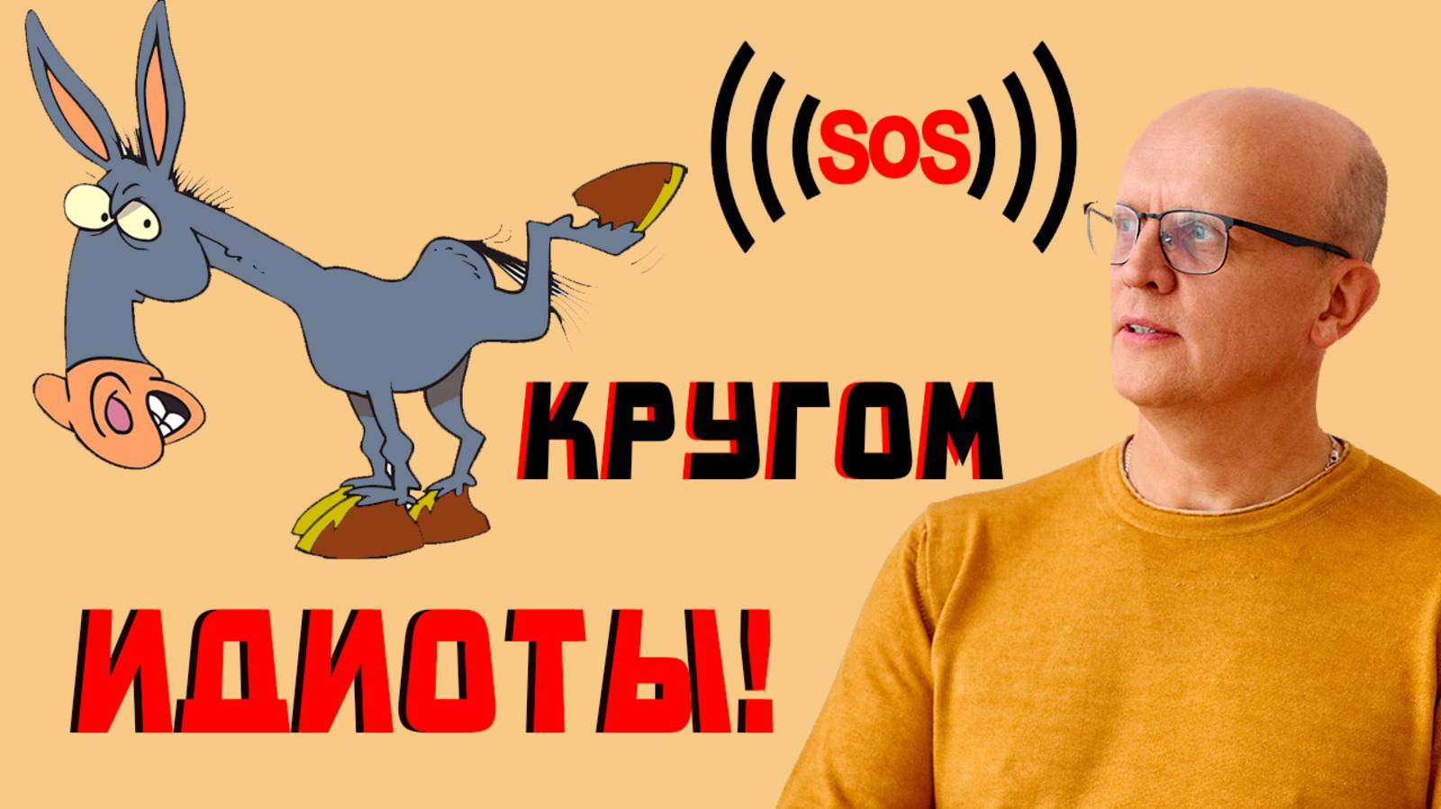 Кругом идиоты!