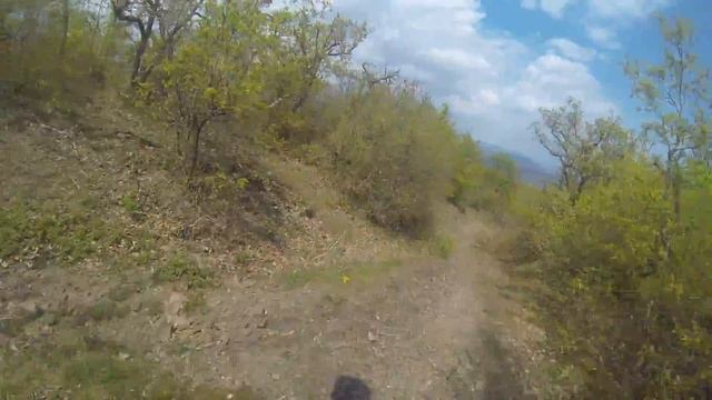Мамонтовая 2017