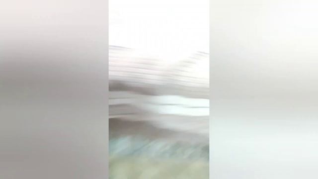 У СНЕЖКА КОШАРЫ ДЕНЬ РОЖДЕНИЯ 1 ГОДИК🥳