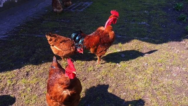 Хочется верить в радостные моменты и избежать неприятностей! I want to believe in joyful moments an