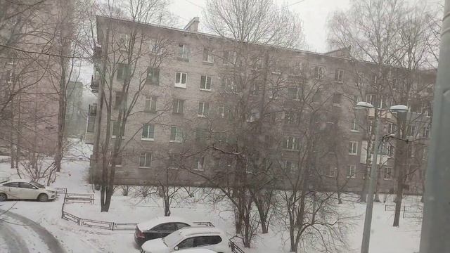 Уезжаем из Питера в Рим с Зевсом.10.02.2023