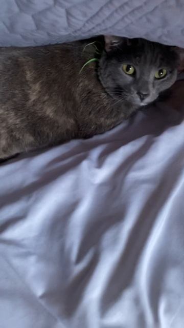 She love to do this with the slightest temperature drop