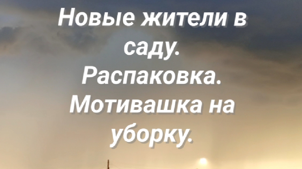 Новые жители в саду. Мотивашка на уборку.Распаковка.