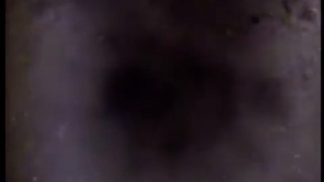 Орл обл Тельчье 1Черкизово
