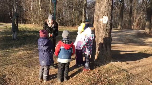 Лосиный остров парк !!! 23.11.19г