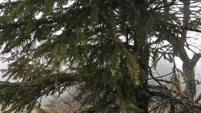 Сніг тане - г.Парашка - 1.05.2017