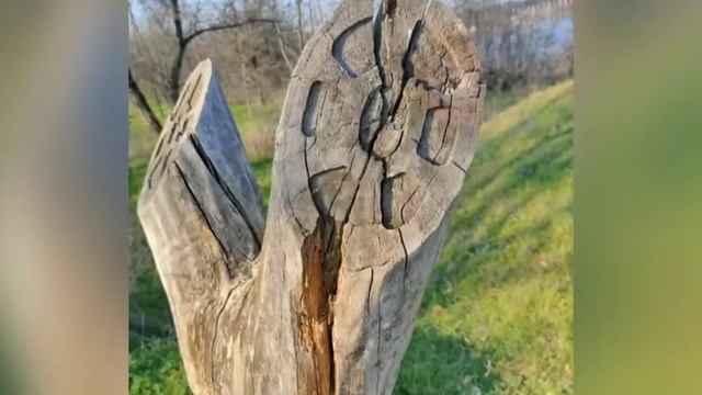 Запорожская сечь