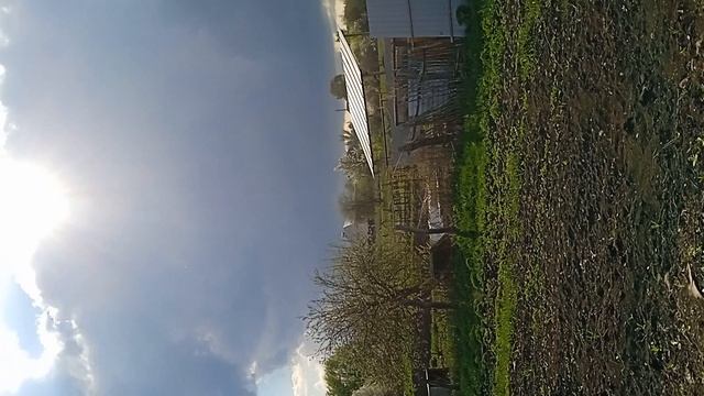 апрельская красота)