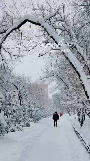Хабаровск. Наш снежный февраль...