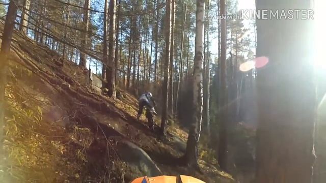 Копия видео "Кобылья голова)"