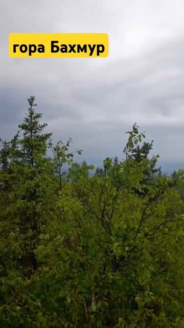 Гора Бахмур (874м)— самая высокая точка Ашинского района. Находится на западном склоне Уральских го