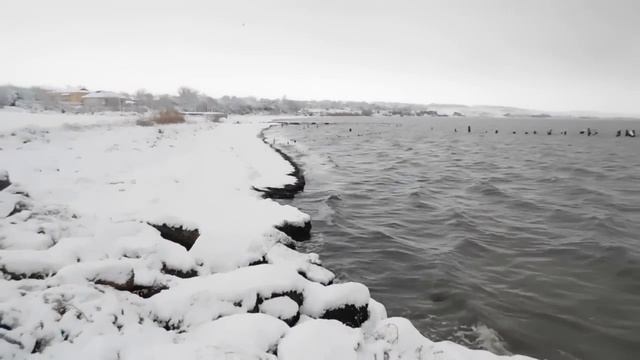 Снежок)))