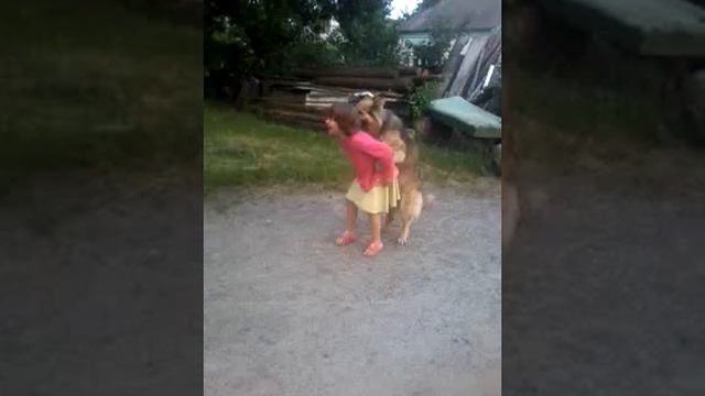 Дурні люди