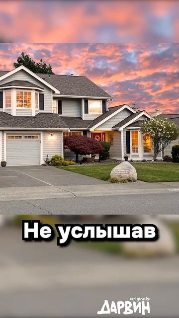 история про кота спасителя 🤔🤔🤔